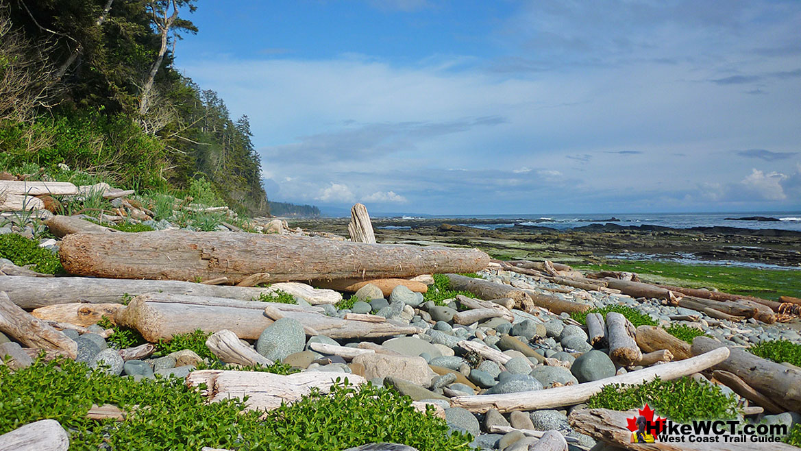 Darling Beach West Coast Trail