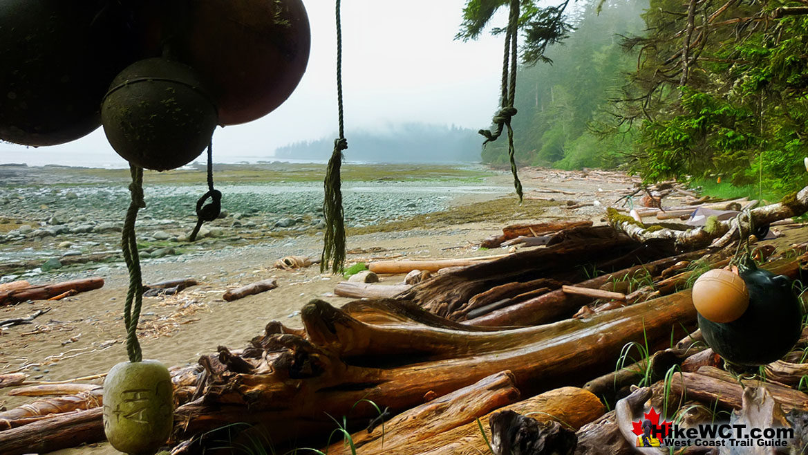 Driftwood Camp View of Darling Beach