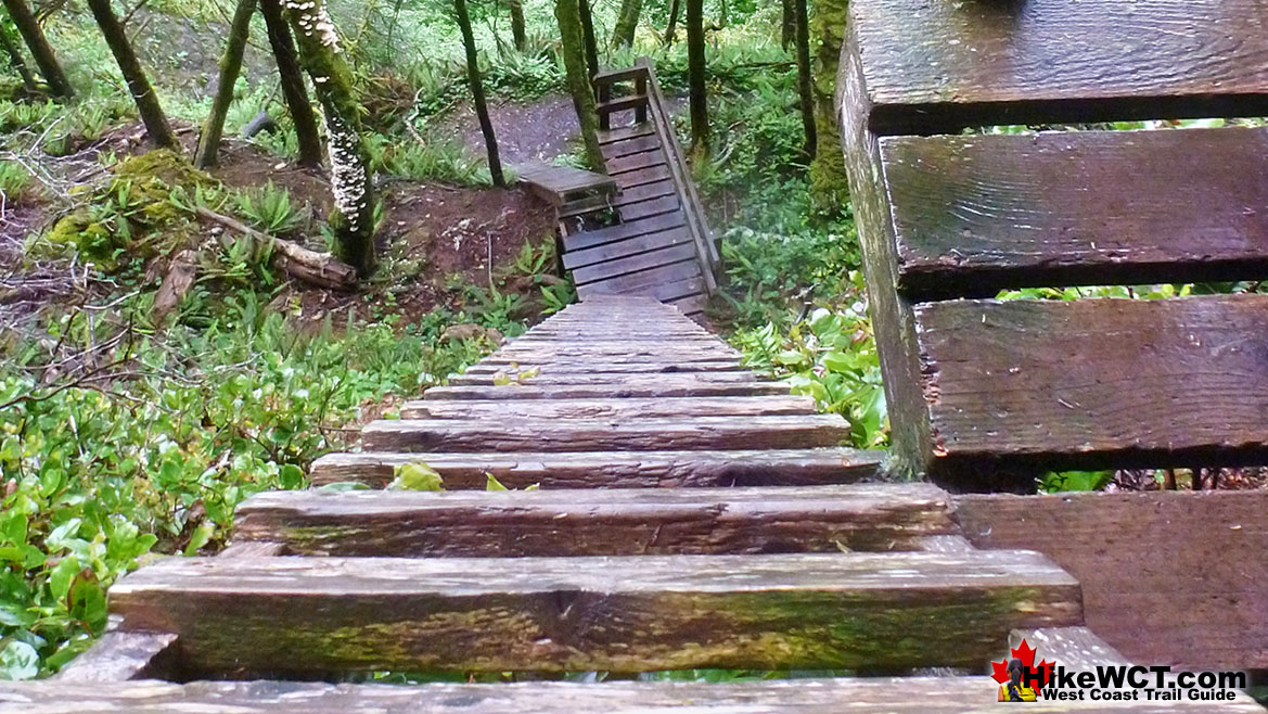 Looking Down West Coast Trail Ladders