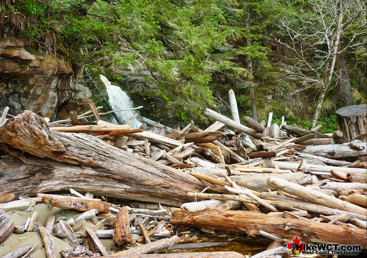 Orange Juice Falls Driftwood