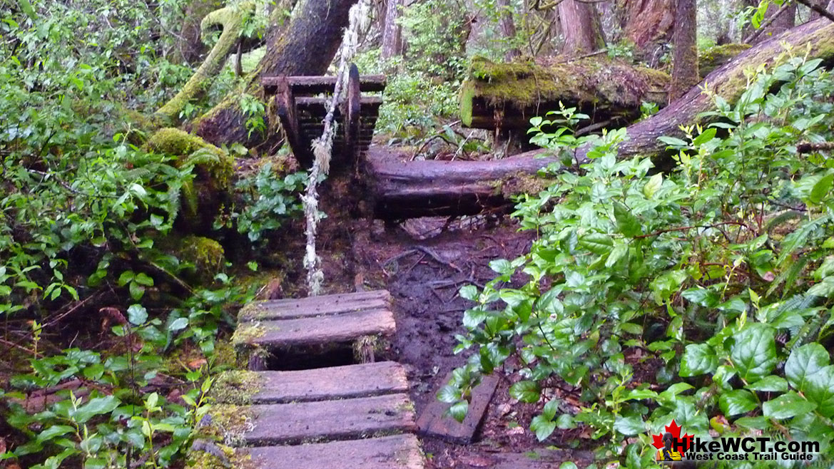 West Coast Trail Smashed Boardwalk