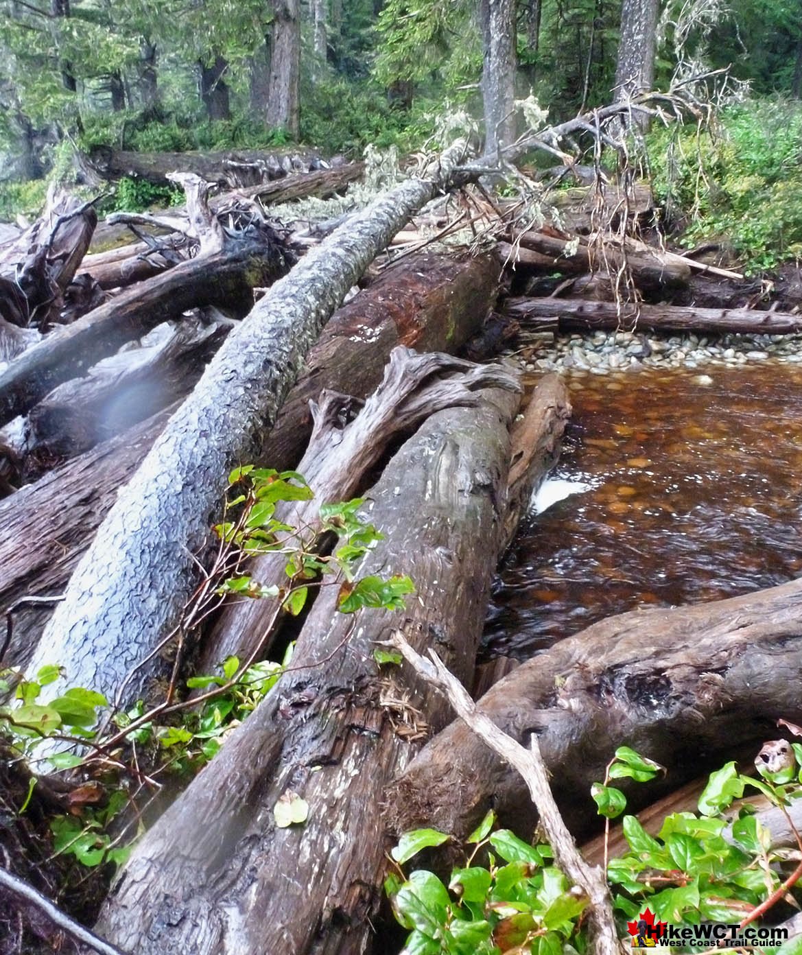 Hilarious Creek Crossing at 30km