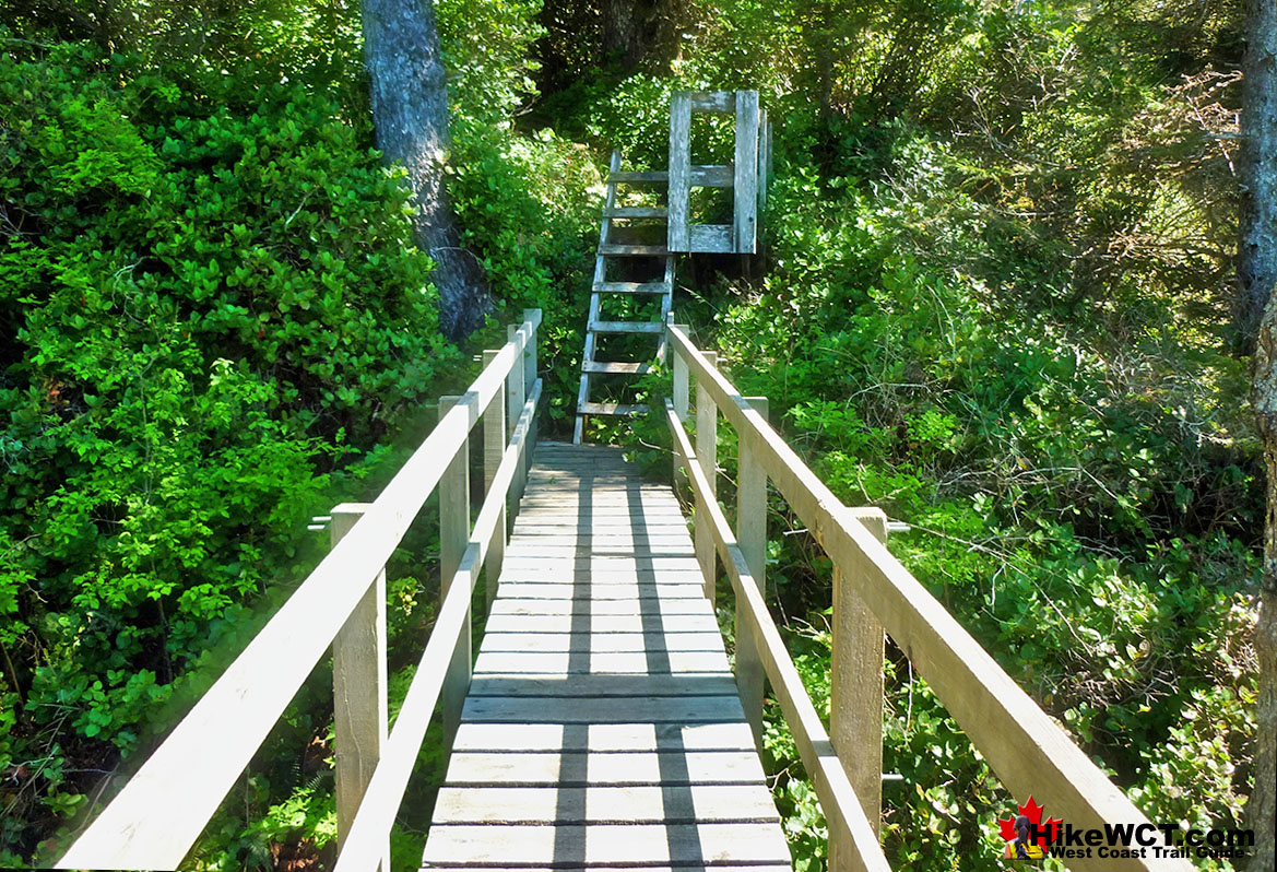 Dare Creek Bridge Near 40km