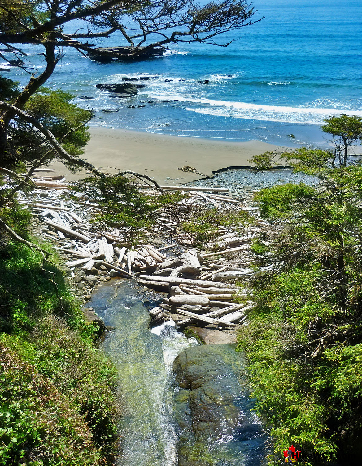 Dare Beach West Coast Trail