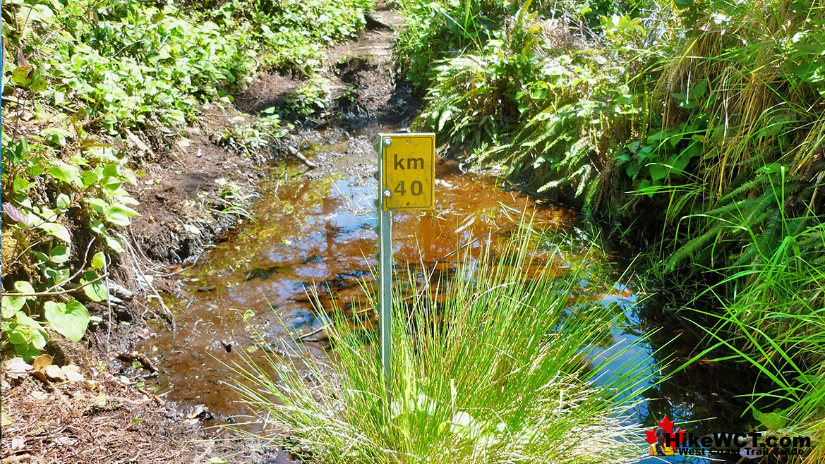 Mud Pool at 40km West Coast Trail