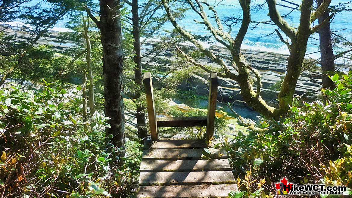 Ladder Down to Cribs Creek