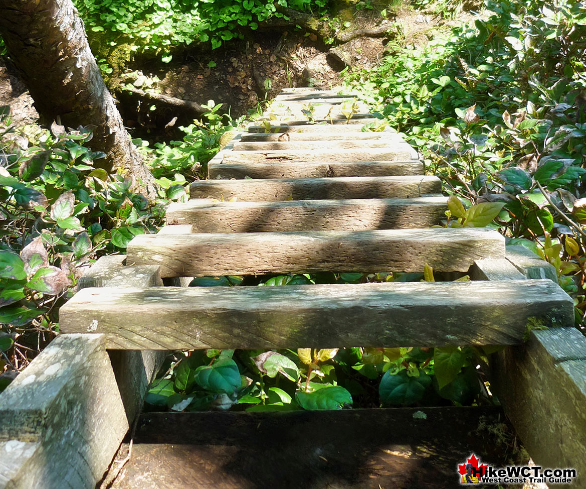 Ladder Down to Cribs Creek