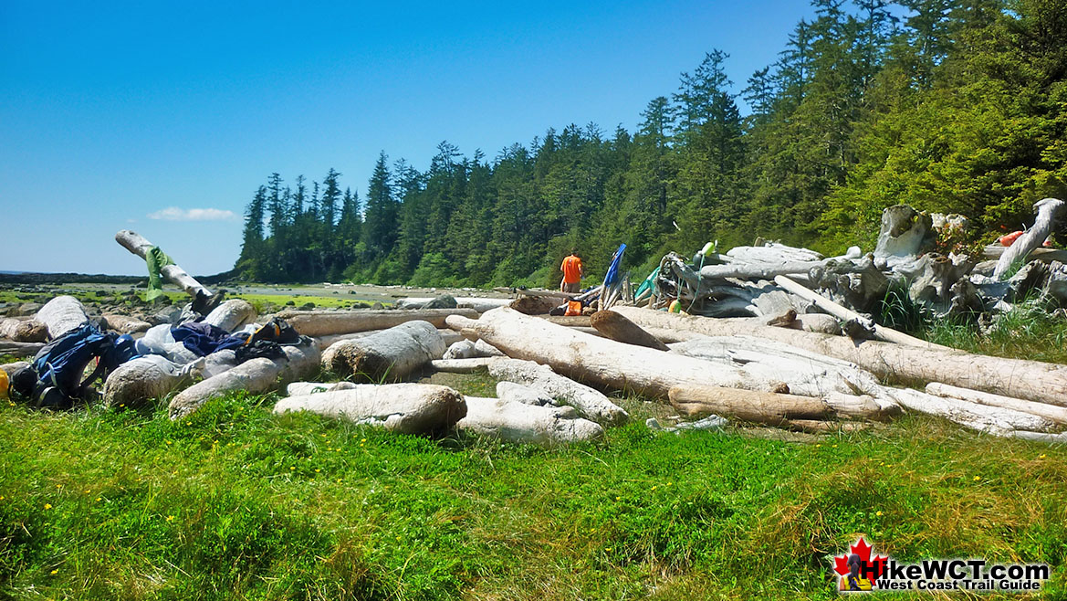 Cribs Creek Campsite West Coast Trail