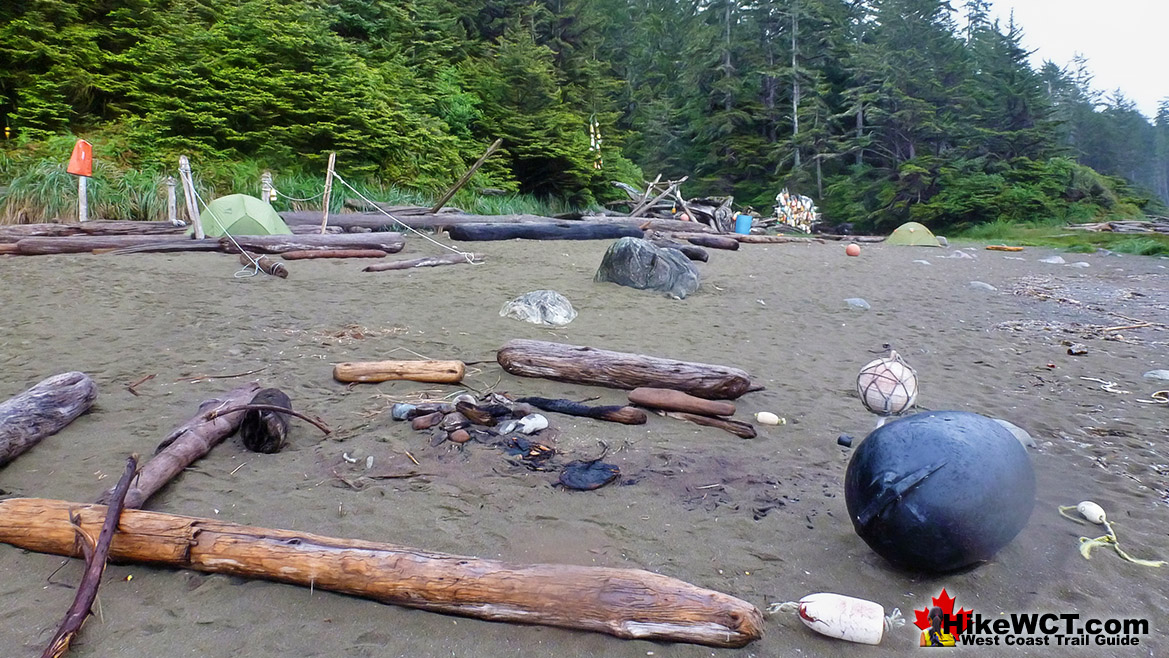 Cribs Beach Campsite at 41.5km