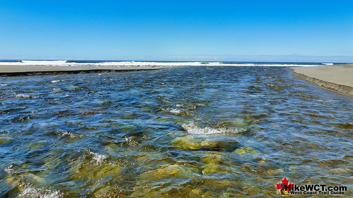 Carmanah Creek West Coast Trail