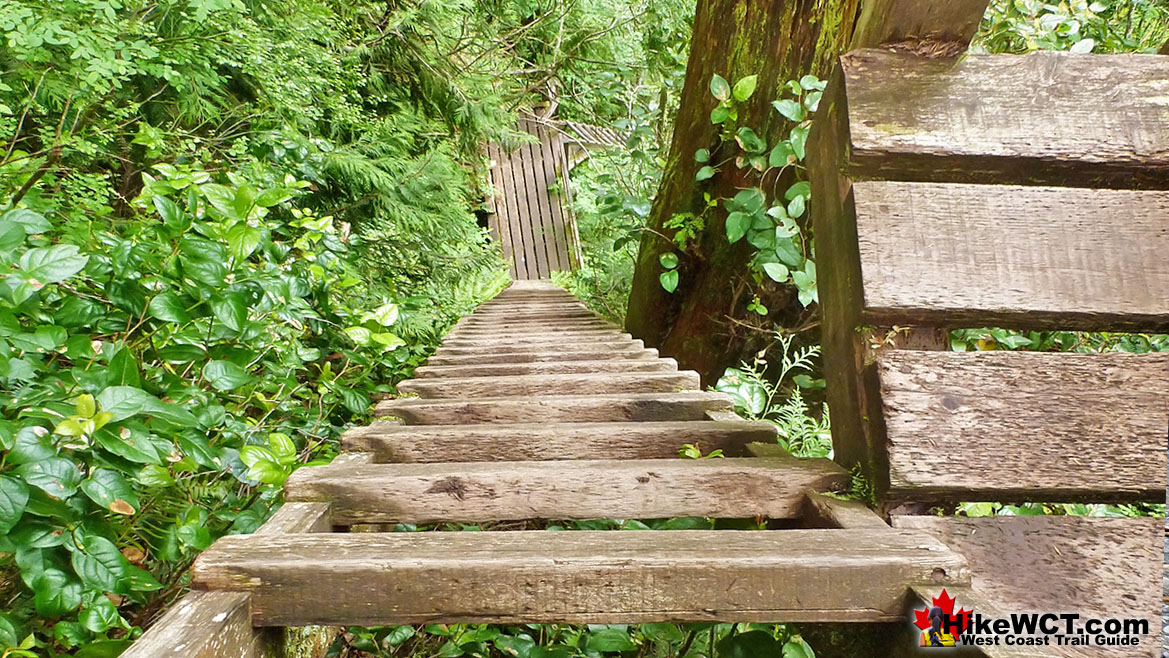 Logan Creek Ladders