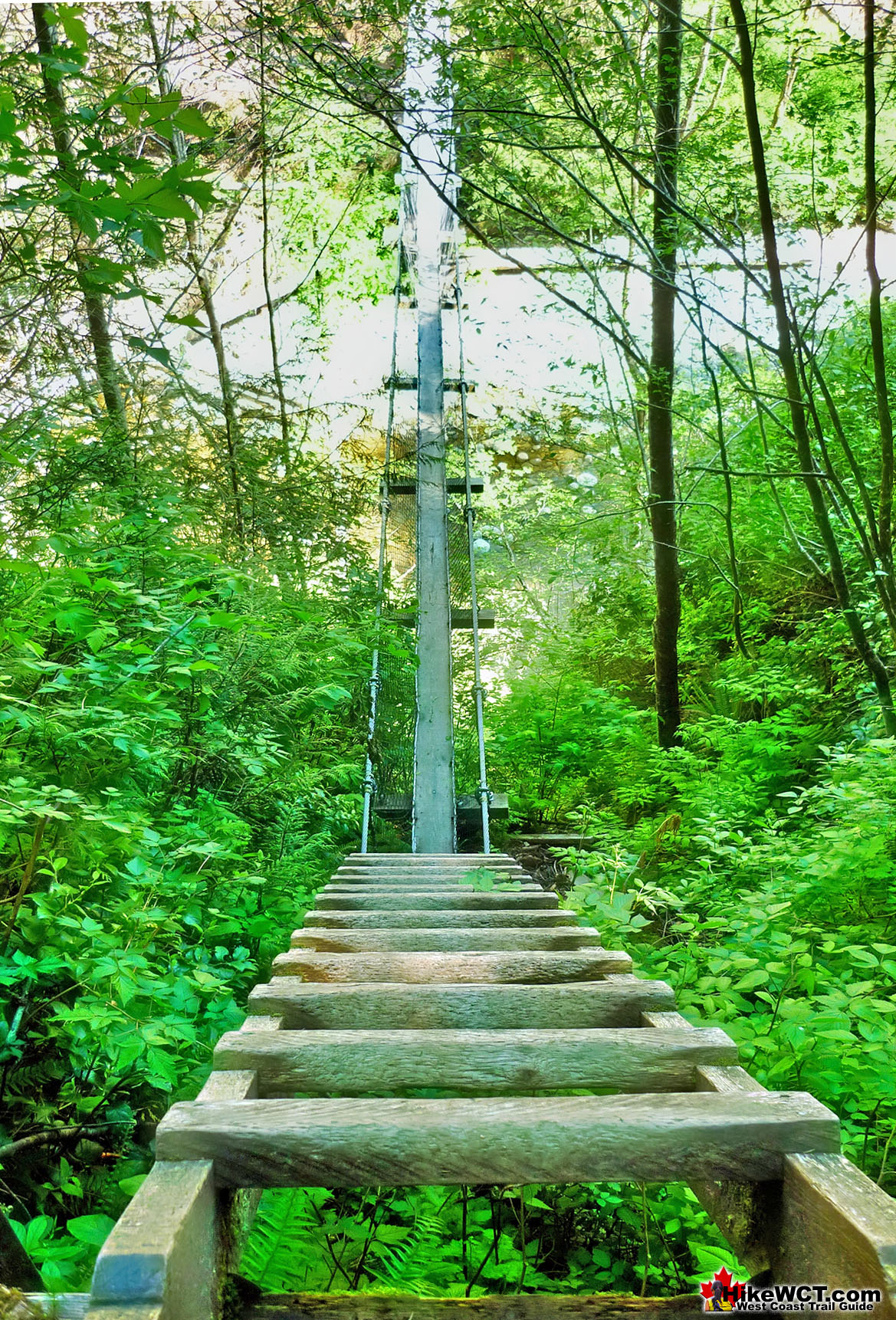 The Old Logan Creek Crossing