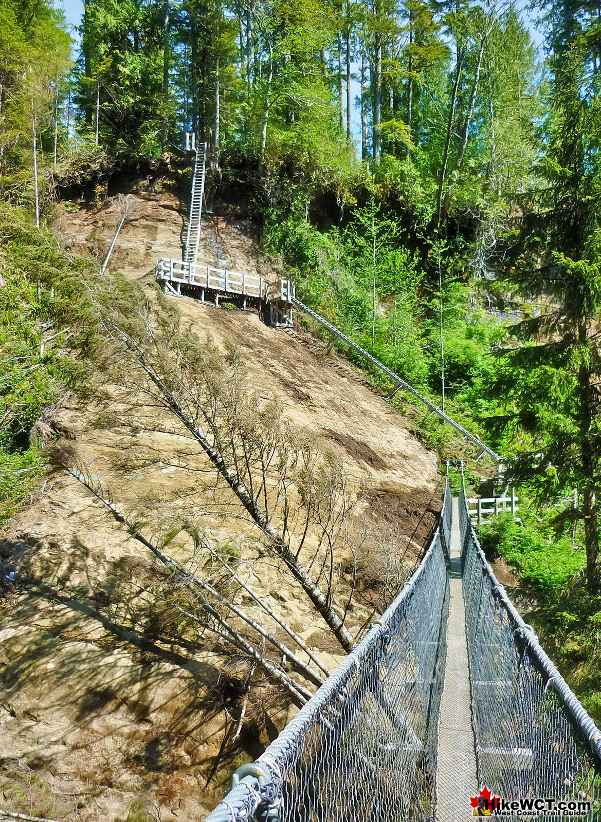 The Old Logan Creek Ladders