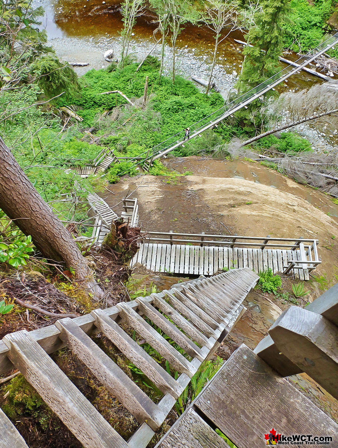 The Old Logan Creek Ladders