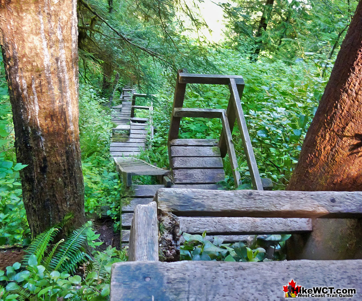 Cullite Creek Ladders