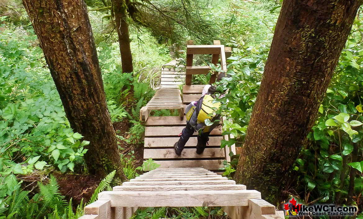 Ladders Down to Cullite Cove