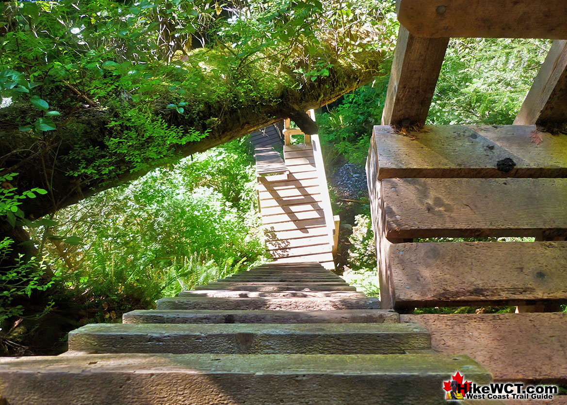 Cullite Creek Ladders