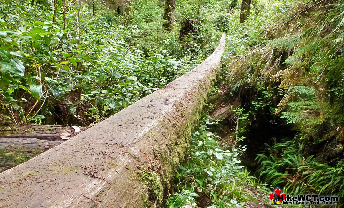 Bridge Near 59km West Coast Trail