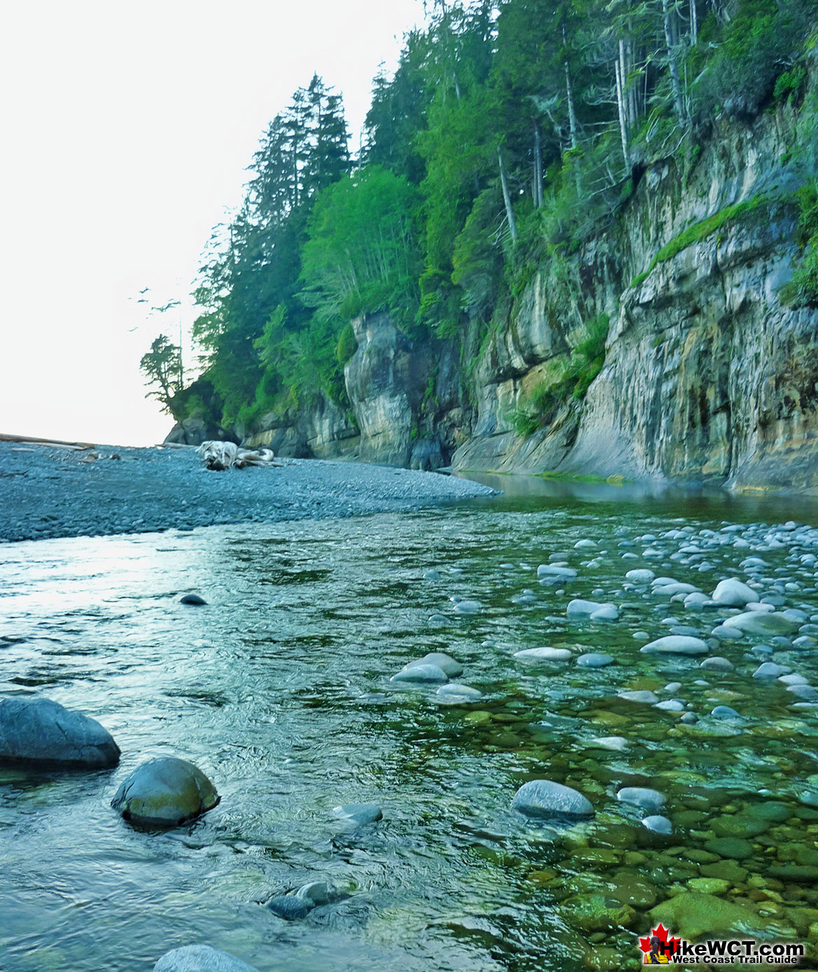 Camper Creek West Coast Trail