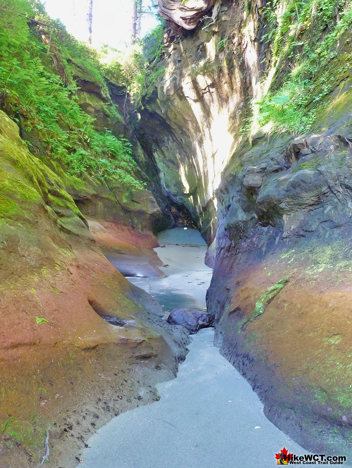 Owen Point Cave Entrance