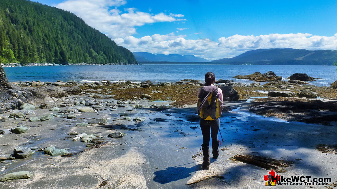 View Near Thrasher Cove