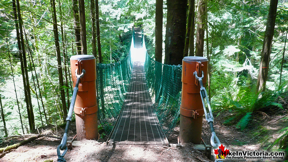 Juan de Fuca Trail Bridge