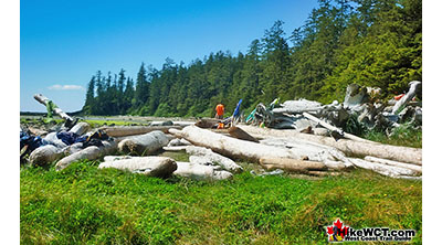 Cribs Creek Campsite